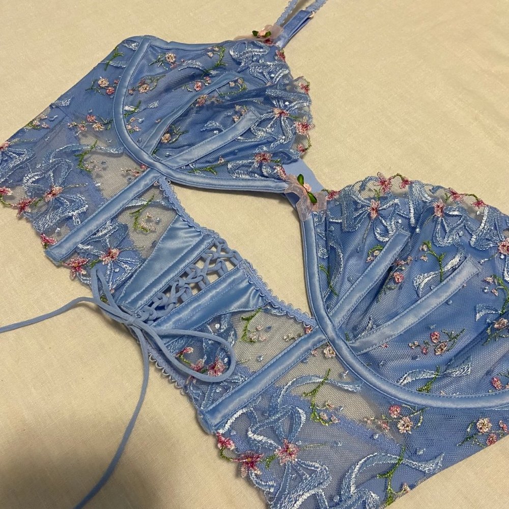 For Love and Lemons x Victoria's Secret Bell Bow Bustier - Picture 12 of 14